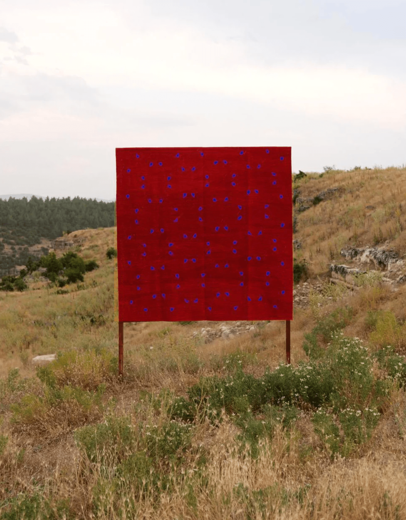 "LIFE", by Senem Akçay, Handwoven rug - TheKeep GlobalHandwoven rug